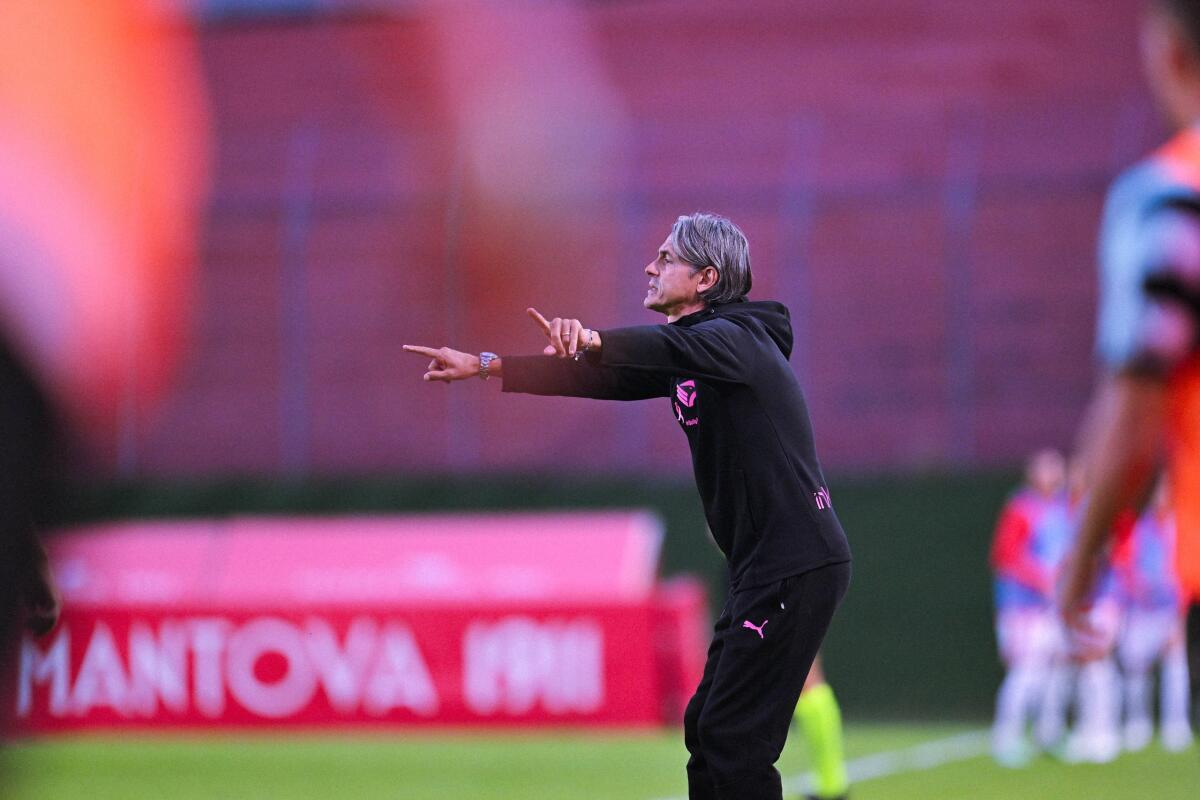 Palermo FC: conferenza stampa di Filippo Inzaghi sabato 24 ottobre, regole di accesso per i media - 