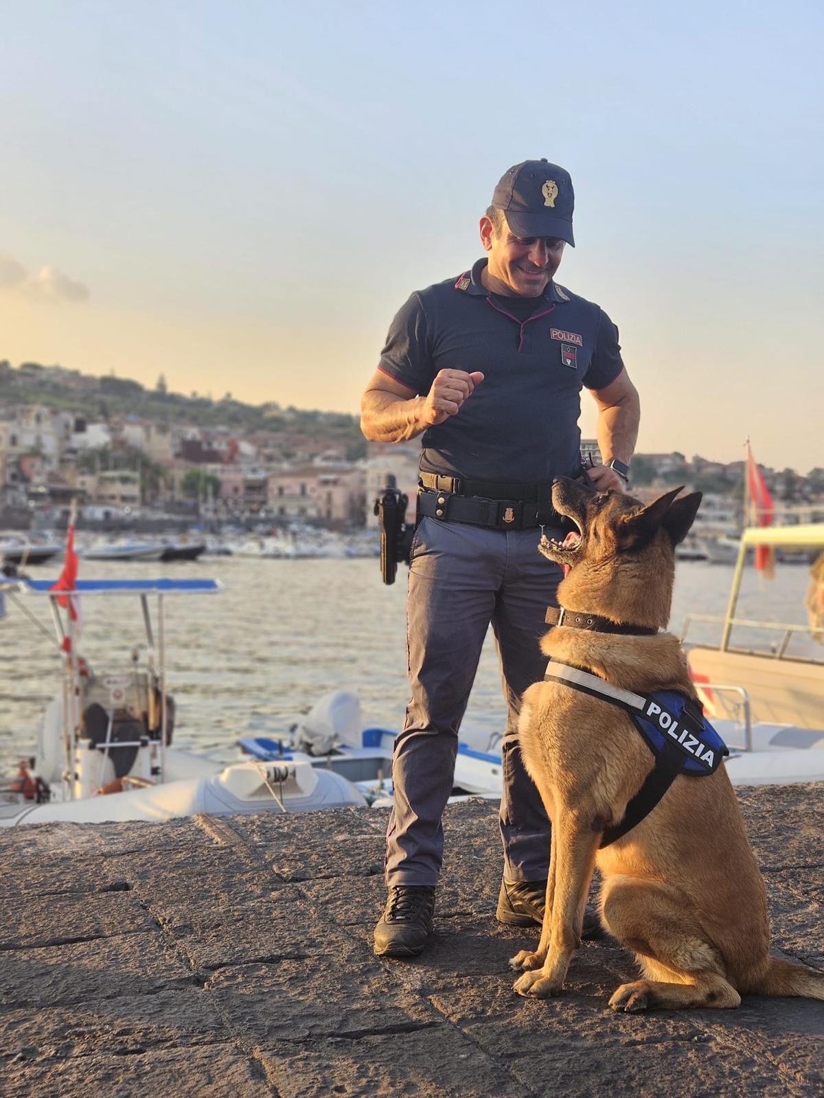 Catania, va in pensione Maui: il cane antidroga della Questura dopo 9 anni e 280 kg di droga sequestrati - 
