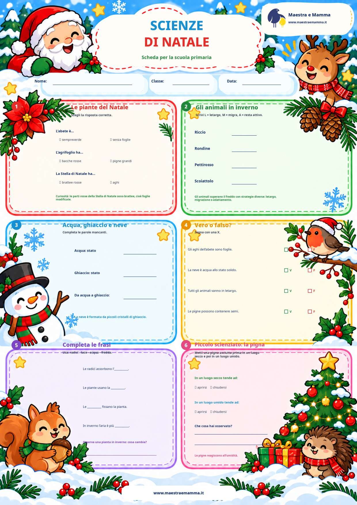 Scienze di Natale: scheda per la scuola primaria da stampare